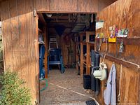 Wide view of the interior shed area showing wooden walls, shelving, a chair, some hanging tools and utility items with natural light entering