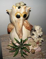 Front angled view of seahorse shell lamp showing large eyes, coral, seaweed accents, and shell wings