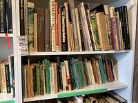 Two shelves filled with various books focusing on American Indians, indigenous cultures, Amazon, Mexico, and art.