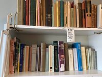Two shelves filled with an assortment of books in worn condition covering subjects like poetry, Bible, fiction, and Danish language.