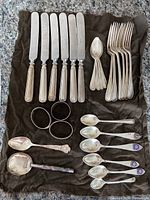 Full lot: knives, forks, spoons, napkin rings, sugar spoon, ladle arranged on cloth