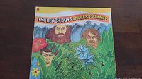Front cover of The Beach Boys Endless Summer vinyl album showing illustrated portraits of band members with tropical plants.