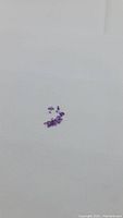 Small group of natural purple amethyst stones scattered on a white background showing size and color