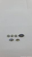 Seven polished labradorite gemstones arranged on a white background, showing shape and flash colors.
