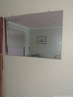 Full view of the rectangular wall mirror mounted on a wall, showing the vine/floral etching in the top left corner and reflections of a room.