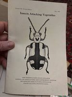 Front cover of Circular 122 titled 'Insects Attacking Vegetables' from May 1932 by Pennsylvania State College School of Agriculture and Experiment Station.