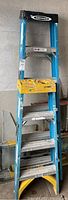 Photo of larger 6-foot Werner fiberglass step ladder showing the full ladder and yellow top tray with paint and scuff wear.