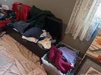 Wide view showing sweaters and cardigans in various colors folded on a bench and inside bins, some red with floral patterns and green knitwear visible.