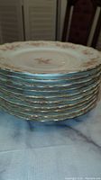 Stack of 10 large china plates showing gold trim on edges and floral pattern.