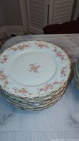Stack of 5 large plates showing floral and gold design with one plate on top showing the front floral pattern.