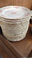 Stacked view of 19 medium-sized plates showing scalloped edges with gold trim and floral decoration.