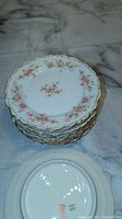 Stack of 8 small floral decorated plates showing top design and edges.