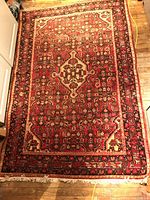 Top-down view of entire rug showing pattern and fringe.