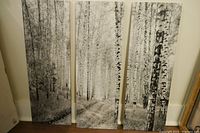 Full view of the triptych woodland road picture with birch trees, showing all three vertical panels with black and white forest scenery.