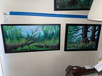 Pair of framed natural landscape mixed media paintings by Donald Gotz hanging on wall, showing two different woodland scenes with trees and greenery.