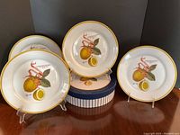Four white ceramic salad plates with yellow rims featuring a botanical illustration of lemons, displayed on clear stands with the branded blue round box behind them.