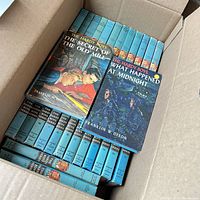 28 vintage Hardy Boys hardcover books in a cardboard box, showing colorful illustrated spines in blue and other colors.