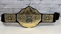 Front view of WWE World Heavyweight Wrestling Champion Belt showing the gold-tone central and side plates with inscriptions and designs mounted on a black leather strap.