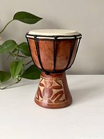 Front angled view of small djembe drum on flat surface with plant in background
