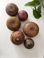 Top view photo showing six wooden shaker gourds with distinct star, floral, and geometric patterns on their tops.