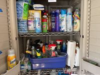 Two metal wire shelves filled with assorted cleaning products including Lysol spray, Scotchgard, Scrubbing Bubbles, and more, showing overall lot arrangement.