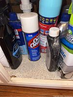 Photo showing several cleaning bottles including CVS Oven Cleaner, Simple Green, and other spray bottles.