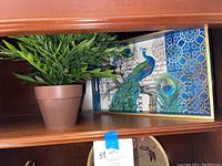 Artificial plant in brown pot next to decorative peacock tray on wood shelf