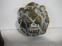 Close-up of brass lion head door knocker showing facial details and patina.