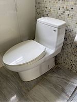 Side profile of the toilet against mosaic wall