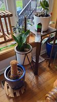 Photo showing two different potted plants with stands in front of window: blue pot with moss pole on wooden slatted round stand and white pot with snake plant on black metal geometric stand, plus a wooden rectangular stand.