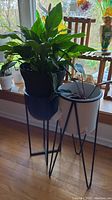 Two wrought-iron stands holding separate plants, one in a black pot and the other in a white metal pot, placed on hardwood floor near window.