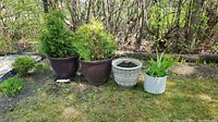 Four planter pots in an outdoor setting with three containing plants and one empty with soil