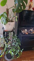 Full view of the black metal two-tiered plant stand holding two potted plants, one large Monstera and one smaller leafy plant.