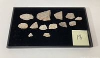 Full tray view showing 12 quartz arrowheads and points arranged on a black velvet base.