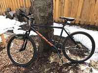 Full view of the black Nakamura 25 mountain bike leaning against a tree outdoors, showing the frame, tires, and saddle.