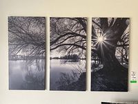 Full view of the three connected black and white nature canvas prints.