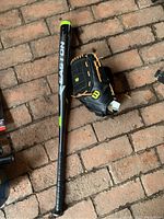 Photo of the Easton ALX501 black aluminum bat and Wilson A360 glove on brick surface.