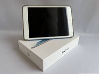 Apple iPad Mini resting on top of its original retail box showing front display and box graphics.