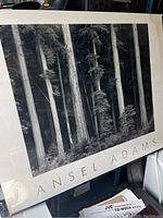 Full view of the Ansel Adams authorized print showing forest scene and mat with visible damage.