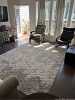 Living room shot showing full area rug on wooden floor with furniture around it.