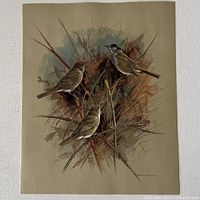 Print depicting three small birds on branches with brown and green foliage background, identified as Plate 23 - The Dunnock and the Robins.