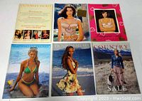 Six Victoria's Secret catalogs laid out.