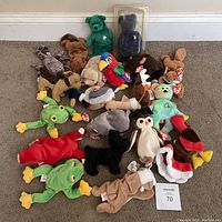 Front view of approximately 19 assorted Ty Beanie Babies plush toys arranged on carpet, showing variety of animal designs including frogs, dogs, birds, and a green bear with shamrock.