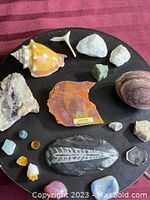 Collection of assorted semi precious gemstones including amethyst, tiger eye, quartz, fossils, seashell, displayed on a black surface.
