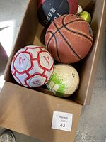 Box showing seven sports balls including basketballs, soccer balls, baseball, and softballs.