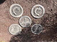 Five round stone plaques on mulch ground, featuring two lizard designs and three insect designs: two dragonflies and one butterfly.