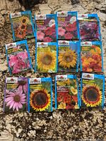 Front of 12 Burpee seed packets featuring sunflowers, petunias, cosmos, and echinacea flowers, displayed on a granite surface.