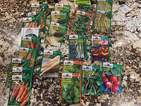 Seed packets displayed on a granite surface, include carrot, parsnip, cilantro, radish, cucumber, beans, onion, and pumpkin seeds