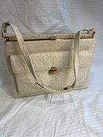 Front angled view of vintage off white ostrich skin purse with long strap and front pocket with gold-tone twist-lock clasp.