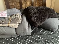 Photo showing grey comforter, silver velour duvet cover, grey pillowcase shams, and black fluffy pillows on bed with black and white polka dot sheet